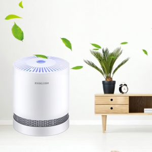Air Purifier For Home